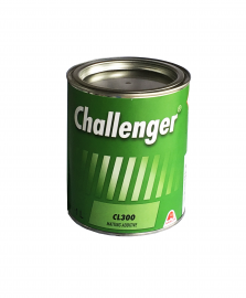 CHALLENGER CL 300 MATINIS PRIEDAS 2K DANGOMS